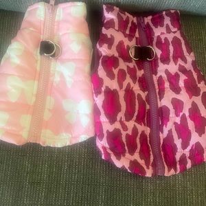 Two small breed puppy jackets